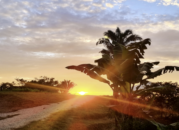 Captura de pantalla 2025-11-10 a la(s) 1.20.19 p.m.